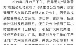 镇雄新闻爆料电话号码,揭秘爆料电话背后的故事